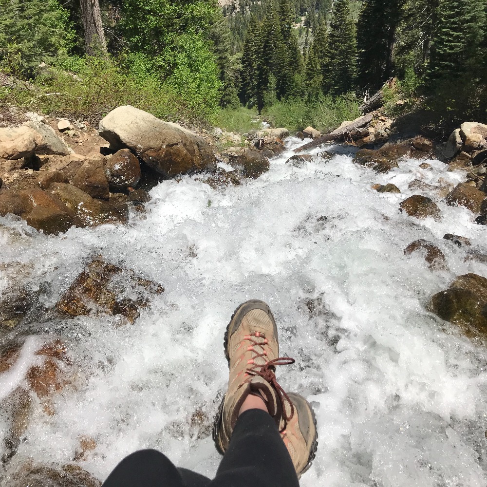 Meet your Posher, Carly